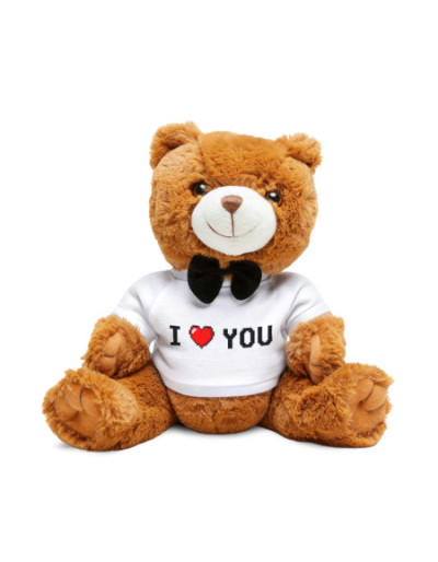 I love You Teddy Bear with...