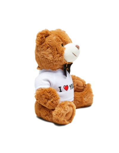 I love You Teddy Bear with...