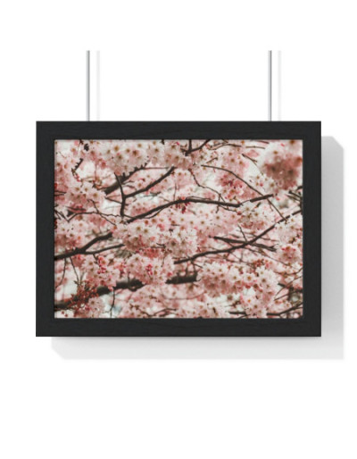 Cherry Blossom Premium...